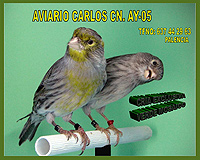 Aviario Carlos